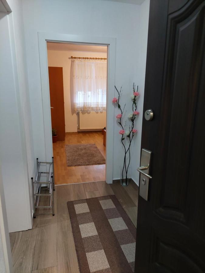 Apartament Ambrus Sighisoara Exterior photo