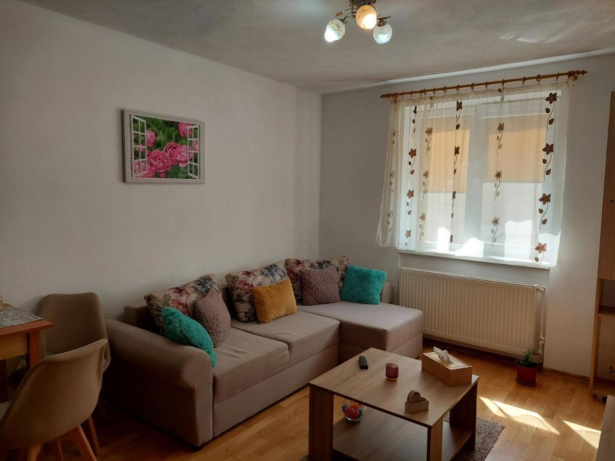 Apartament Ambrus Sighisoara Exterior photo